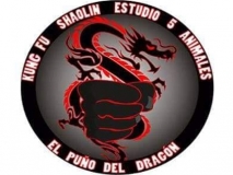 escuela-kungfu-puno-del-dragon