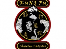 escuela-kungfu-shaolin-saltillo