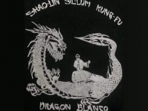 shaolin-sil-lum-kungfu-dragon-blanco