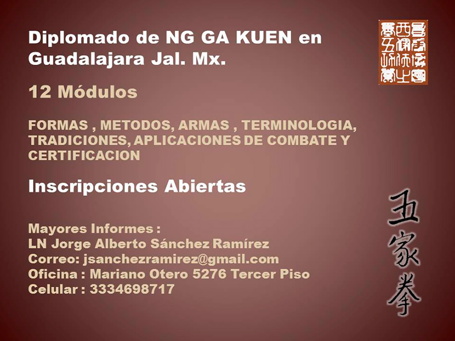 Diplomado de Kung Fu Ng-Ga-Kuen en Guadalajara, Jalisco